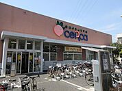 セルカ高砂店 徒歩4分。 300m