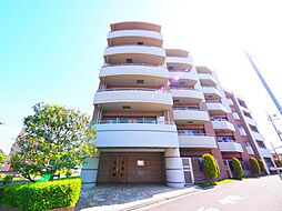 コンファーレ調布