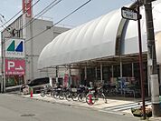 マルフジ東中神店まで約856m