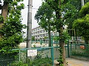 練馬区立泉新小学校まで約1008m