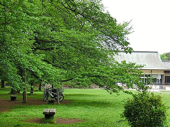 小金井公園まで...