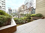 敷地内に植栽が施され、緑に癒されるスペースです。