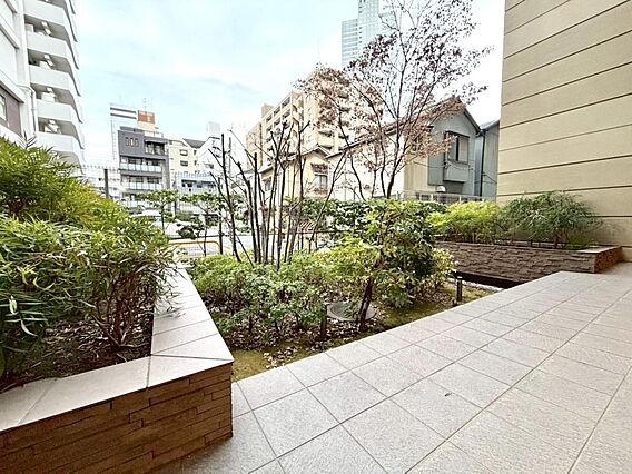 敷地内に植栽が...