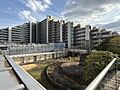 現地だけではな...