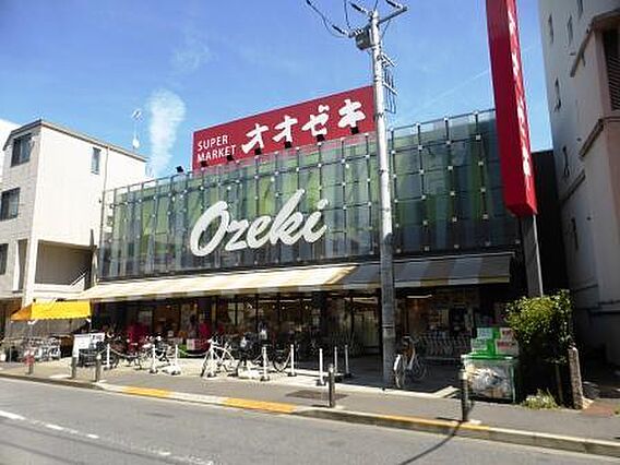 スーパーオオゼ...