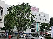 西友新所沢店まで約1294m