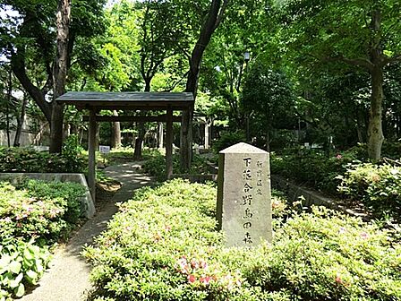野鳥の森公園まで約557m