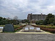 小山白山公園まで約501m