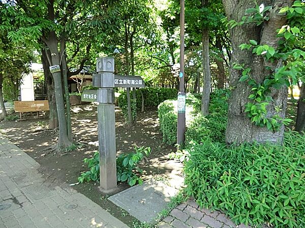 周辺を拡大表示