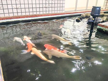 JR山手線「目黒」駅まで徒歩5分の立地です。通勤・通学、お出かけに便利です。