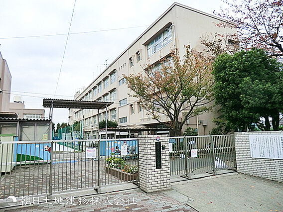 横浜市立つつじ...