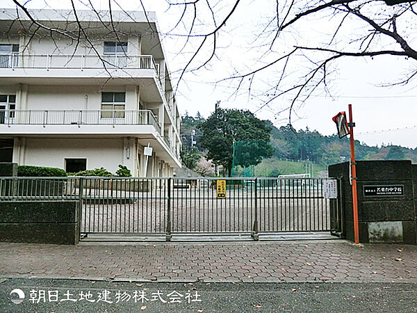 周辺を拡大表示