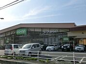 コープ新所沢店 300m