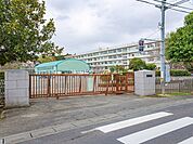 所沢市立山口小学校(約784ｍ 徒歩約10分)