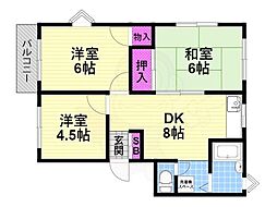 パールハイツ 1階/-
