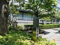 亀の甲緑地 716m