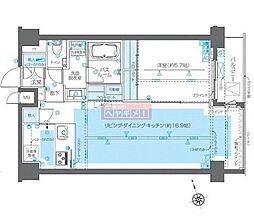 ZOOM広尾 1LDKの間取図画像
