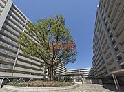 同建物参考写真