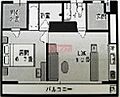 六本木グランドール5階19.5万円