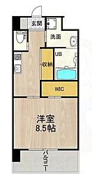 PHOENIX Clove Tomoi 7階/-