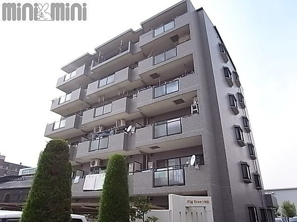 ＦｉｇＴｒｅｅ2号館 103｜兵庫県西宮市薬師町(賃貸マンション3LDK・1階・77.00㎡)の写真 その1