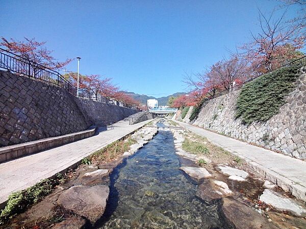 画像20:都賀川公園