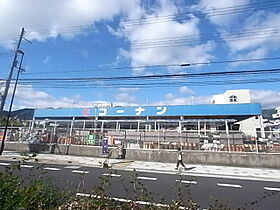 カーサジュピター 307 ｜ 兵庫県神戸市灘区岩屋北町２丁目（賃貸マンション1K・3階・24.00㎡） その19