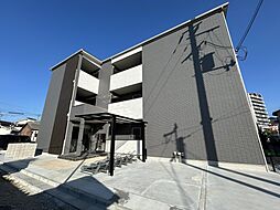 Ｔｉｍｂｅｒ−ｈａｒｅ　ｓｈｉｏｅ