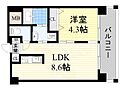 アニマーレ長堀6階8.9万円