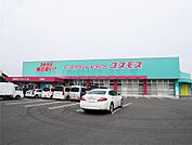 ドラッグストアコスモス 巨勢店(700m)
