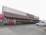 マルキョウ神野店(429m)