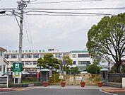 佐賀市立神野小学校(786m)