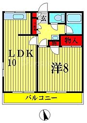 マンション南松戸 1LDKの間取図画像