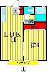 ドミール新松戸 1LDKの間取図画像