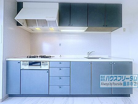 壁付キッチンなのでリビングを広々使えます!