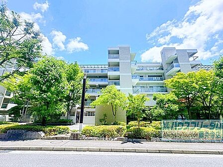 是非一度お問い合わせください♪