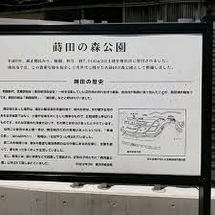 【公園】蒔田の...
