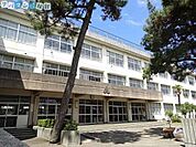 新潟市立浜浦小学校 1251m