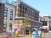 蔦屋書店新潟万代店 1421m