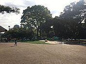 公園「目白台運動公園まで190m」