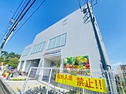 オーケー250ｍ
