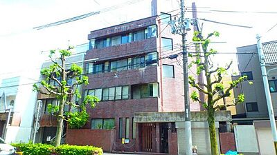 外観 外観