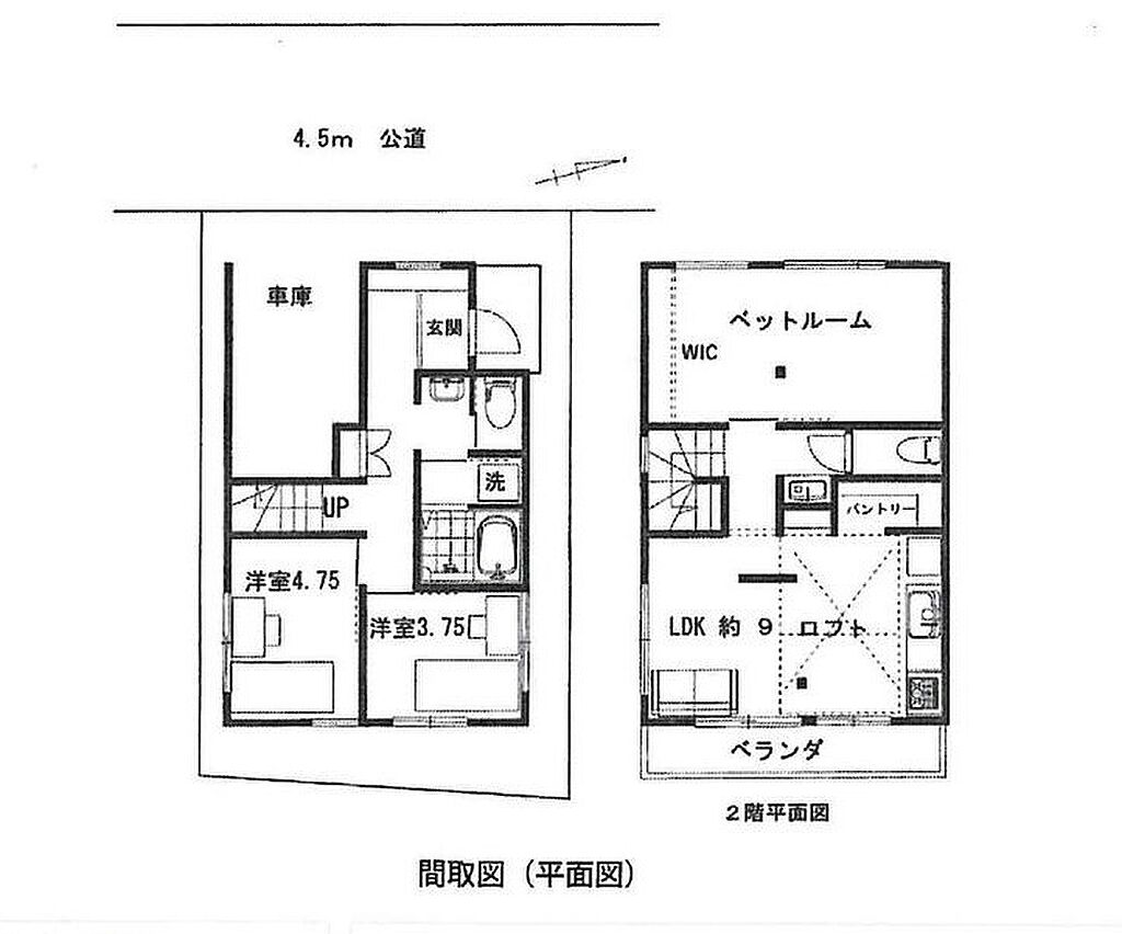 Image 19
