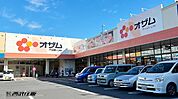 スーパー 600m オザムラーレ青梅新町店