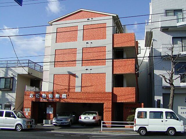 2 / 11