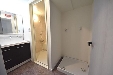 洗面所と洗濯機置き場　洗面台♪蛇口はシャワーノズルです