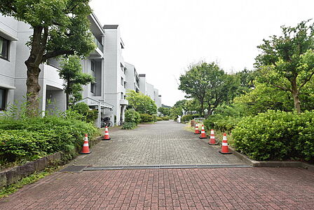 敷地内・前面道路