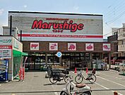マルシゲ 池田店（721m）