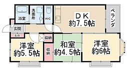 ボナール中西