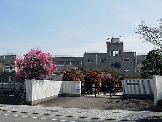 八千代市立新木...